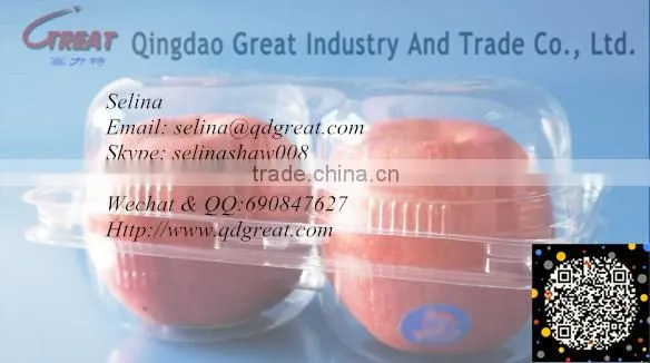 Plastic Fruit packaging container tray disposable plastic blueberry packaging container