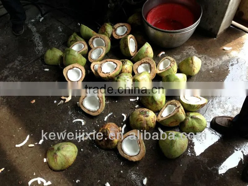 coconut cutting machine
