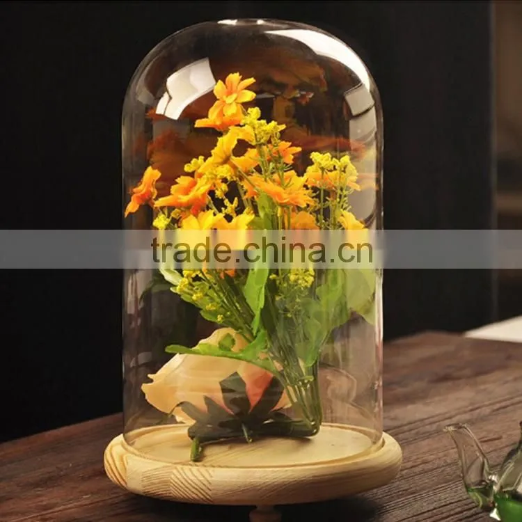 New hot sale mini dome cloches
