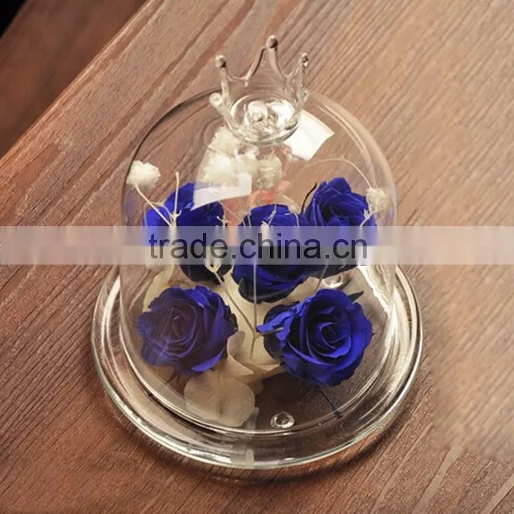glass cloche cheese/cake/decoration
