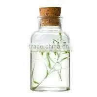 Chamomile Oil Blue