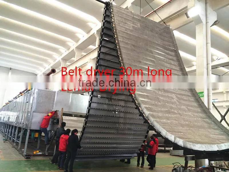 Apple chips/apple flakes mesh belt dryer