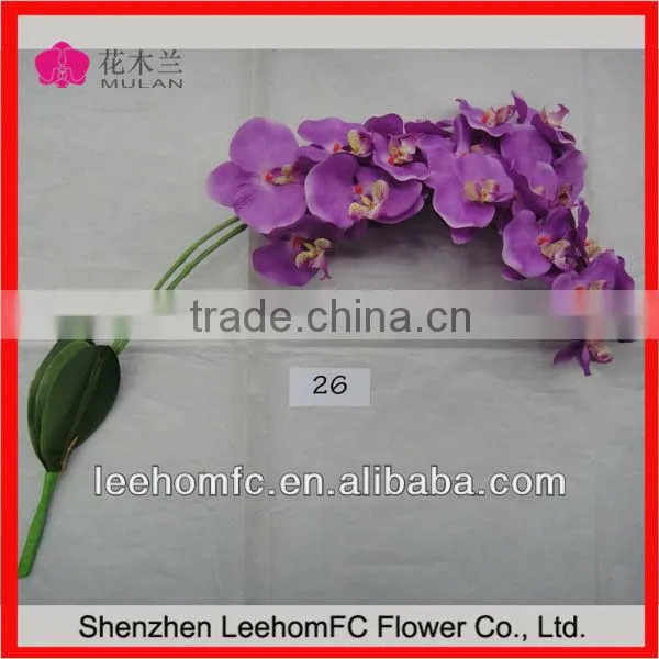 Artificial Orchid Leaves with Root