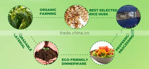 Eco-Friendly High Quality Wooden Chopping Board/Chopping Board Set