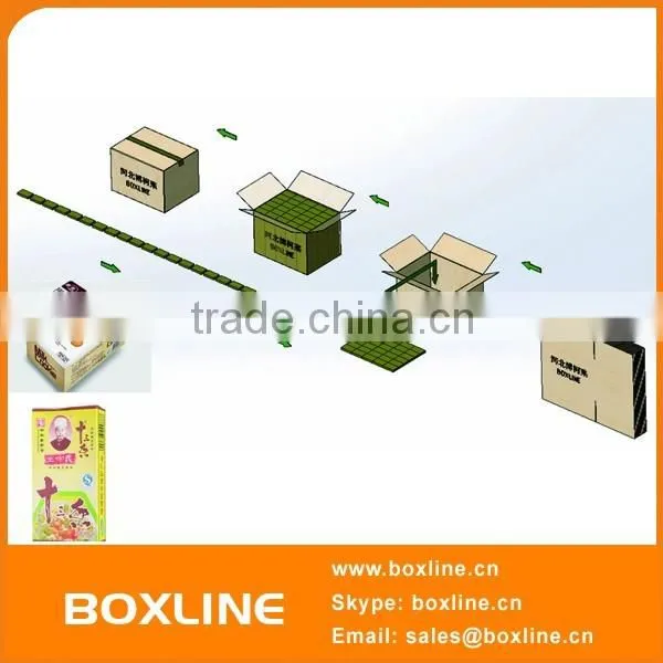 Serial Robot Packing Production Line