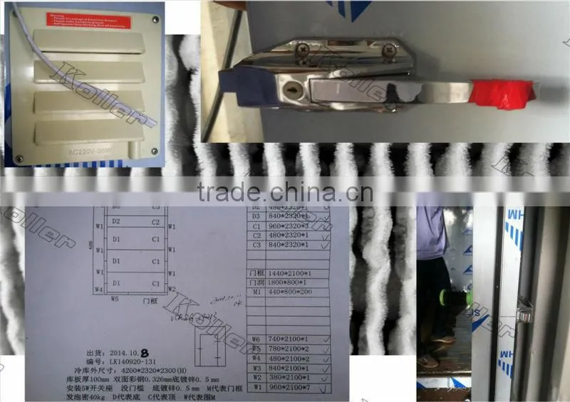 walk in Koller freezer cold room for fishery