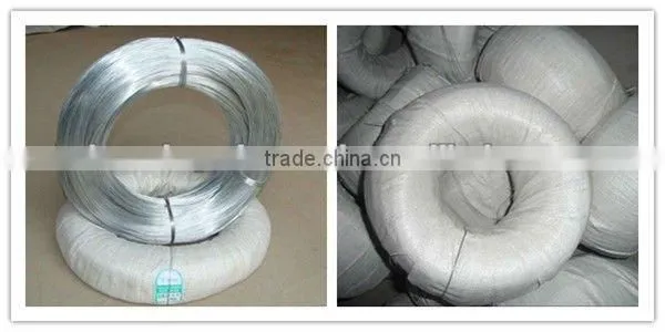 Electric Galvanized Iron Wire (factory)