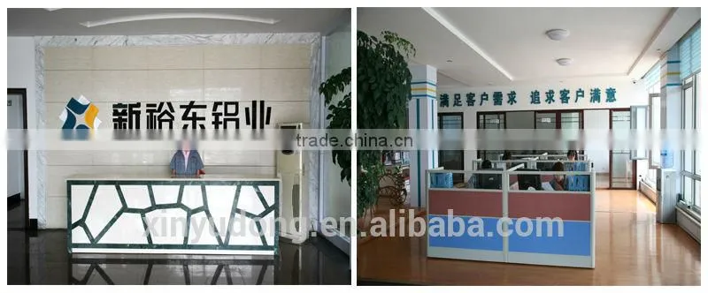 Aluminum curtain wall profiles with anodized powder coated surface
