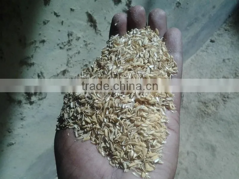 Rice Husk for Cattle Feeds