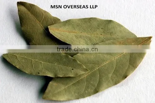 Bay Leaves