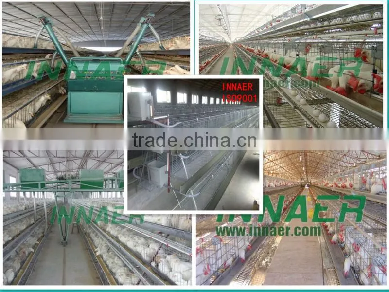Factory supply broiler rearing cage for poultry farm