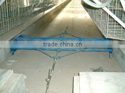 manure removal system for poultry farm