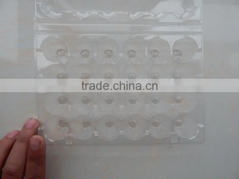Transparent PVC egg tray for 24 quail eggs