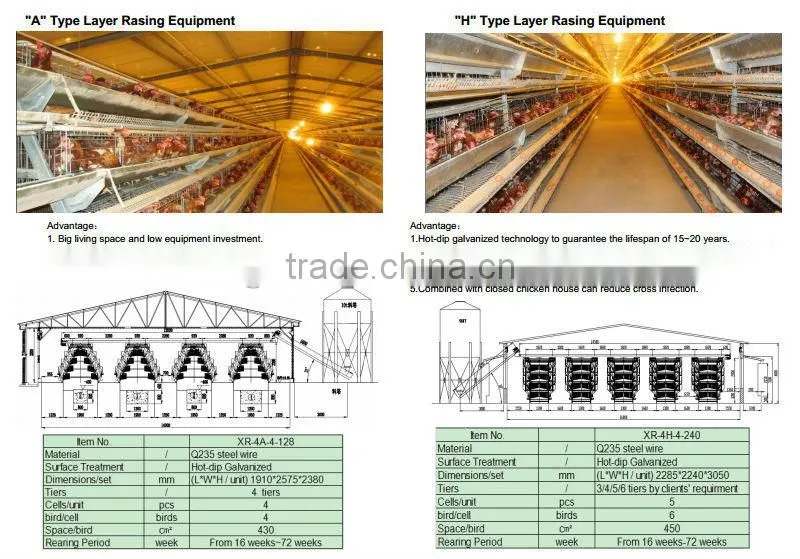broiler chicken house