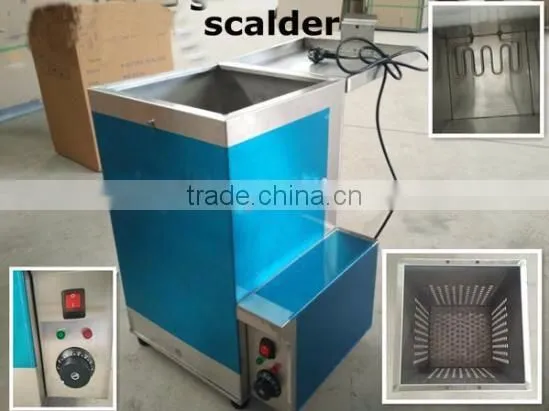 Agricultural equipment Poultry scalding machine chicken scalder MJ-70L used in slaughtering houses