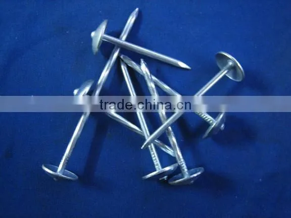 3inches rubber washer roofing nails for India market