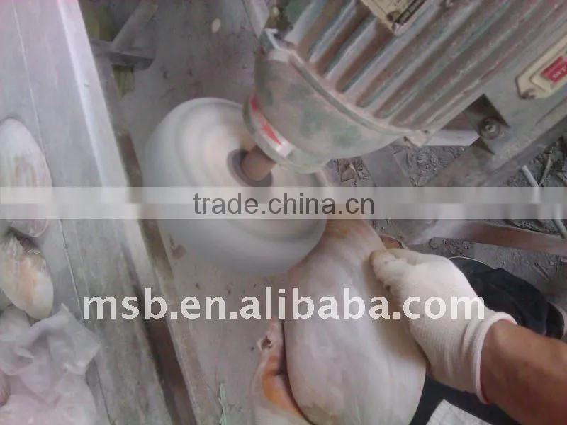 Polished chinese MOP river SHELL without skin