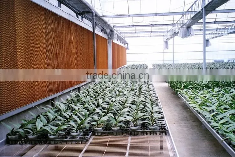 Best Greenhouse / poultry evaporative cooling pad