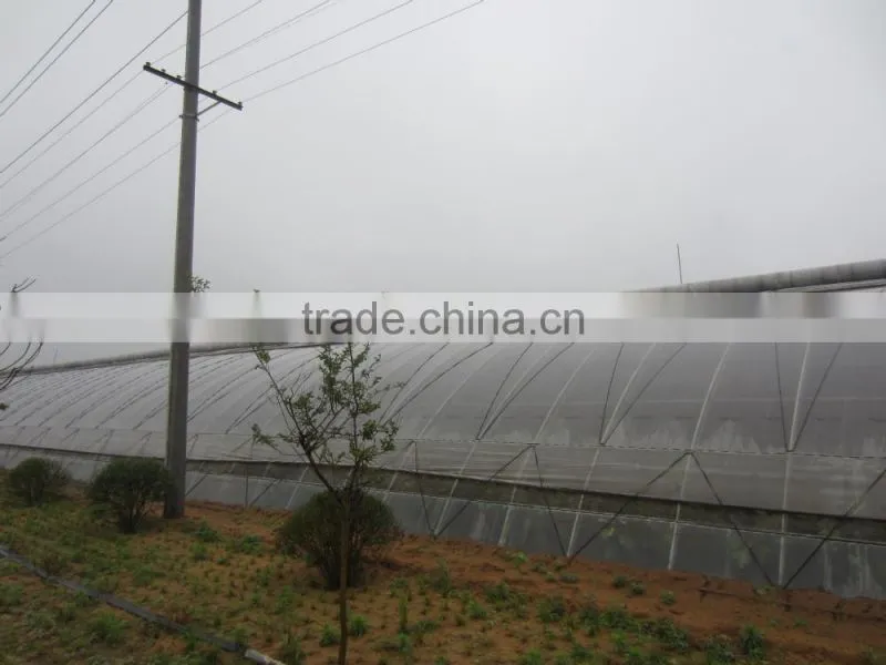 agricultral transparent hdpe uv resistant plastic film for greenhouse