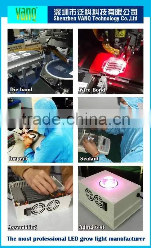 LED lighting hydroponic grow systems full spectrum 150w cob led grow light Vanq classical