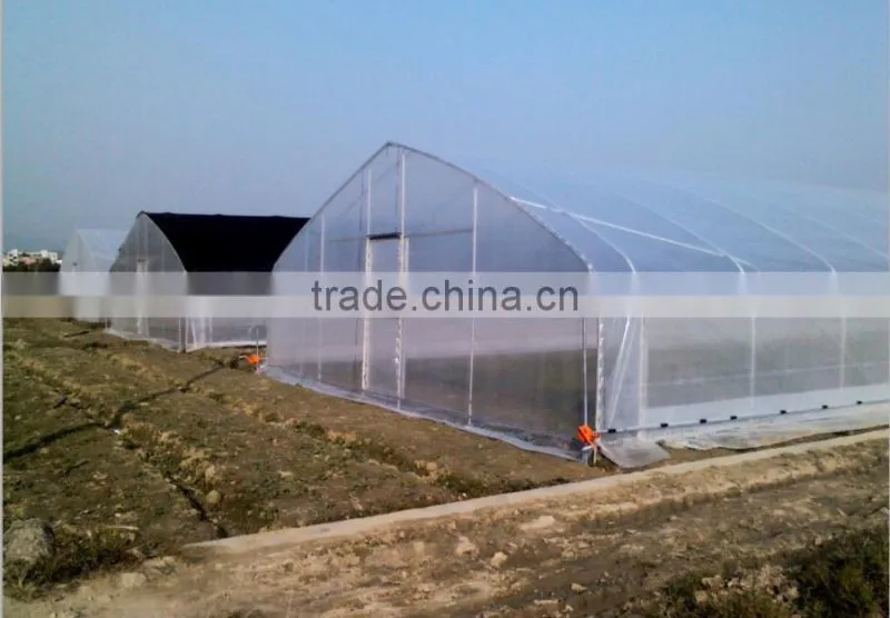 New style single span tunnel greenhouse for sale