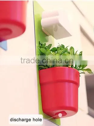 Wall-mount Rainy Flower Pot