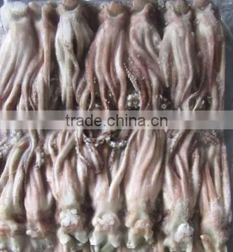 Japanese Squid Tentacles Size 300-400g On Sale