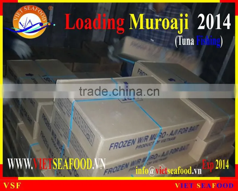 LOADING MUROAJI FOR TUNA BAIT