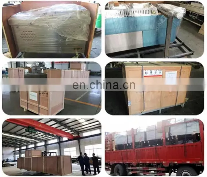 Industrial vacuum press packaging machine/beef jerky vacuum packaging machine price