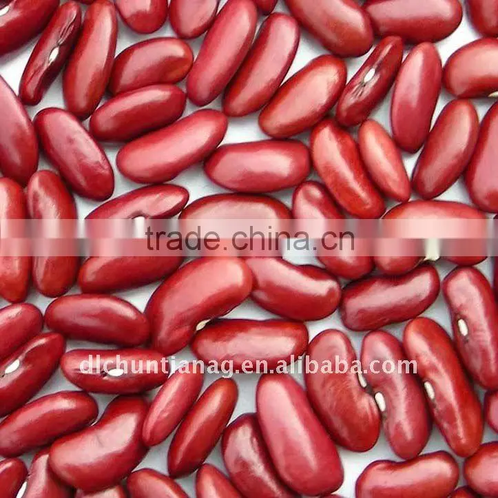 Purple speckled kidney bean