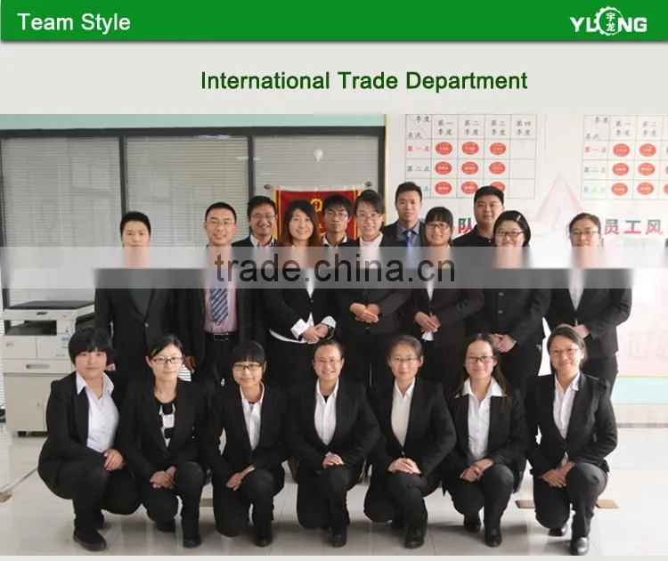 China 2.5-3T/H Biomass Wood Pellet Plant