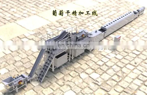 plant for raisin /dried grapes processing machine
