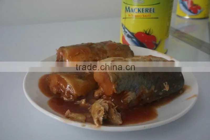 Canned mackerel in tomato sauce for canned seafood importer