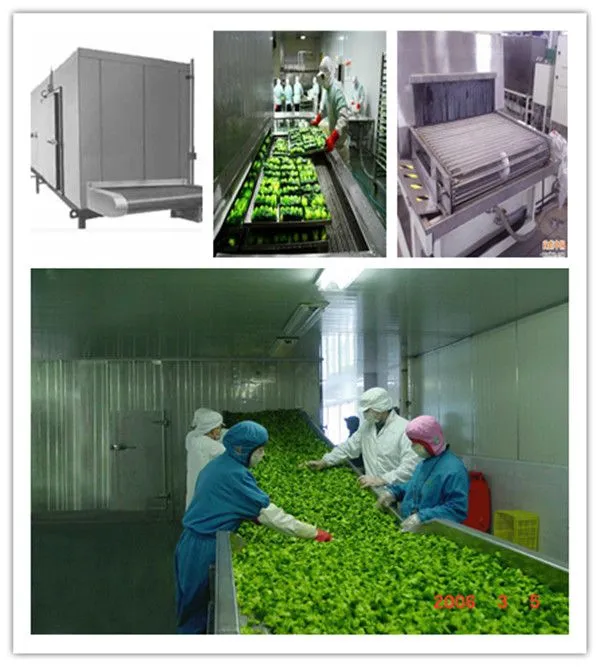 Ammonia 500kg/H Plate Frozen Tunne Belt Fluidized Icecrem Smallest Cooling Tunnel Iqf Shrimp Spiral Freezer blast frozen