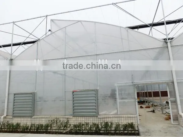 pep film sawtooth greenhouse