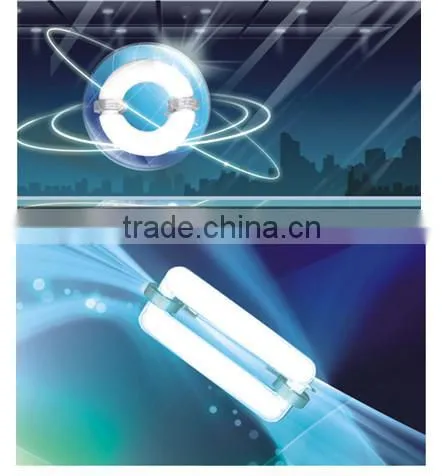 factory sale indoor light inducton lamp
