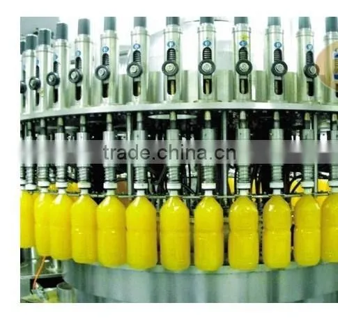 Economic Juice Extracter Machine (Hot sale)