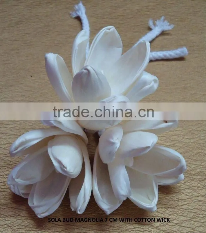 Sola wood flower diffuser