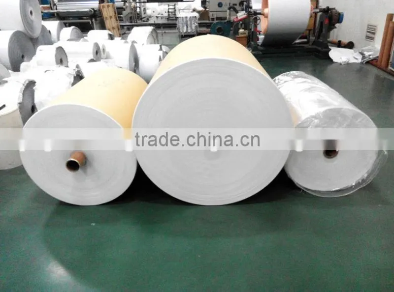 PE coated paper PE laminated paper