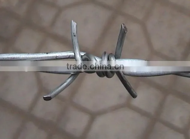 Guangzhou manufacture barbed wire roll price fence