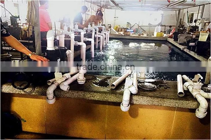 Anti-UV Fiberglass Small Water Filter 600mm Swimming Pool Silica Sand Filter