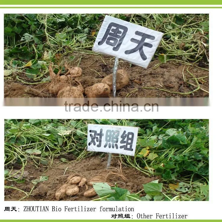 Silicate Bacterium bio potassium releasing bacteria powder organic fertilizer