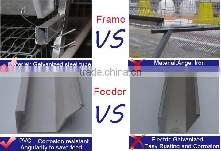 popular selling layer cage chicken cage layer cages for sale