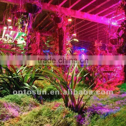 High power LED grow light with 600w