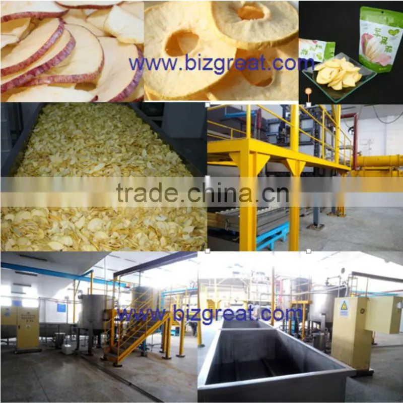 Healthy fruit snack dried apple ring