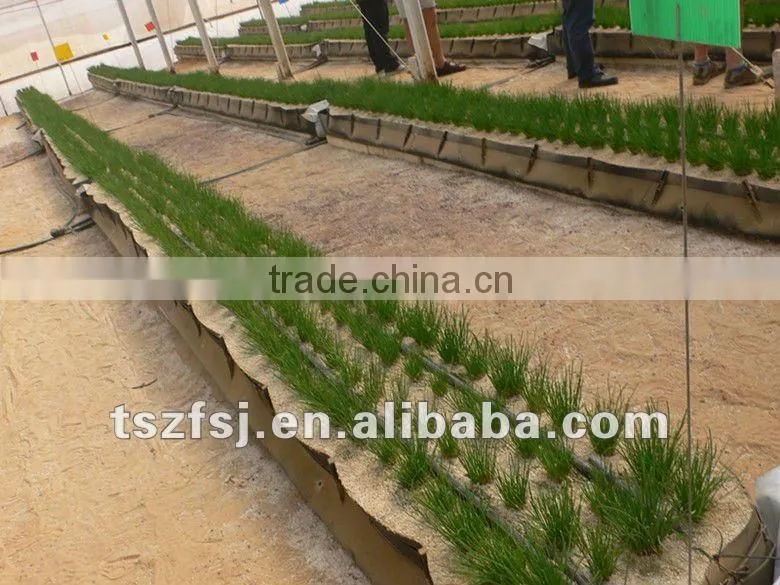 plastic shaping mold