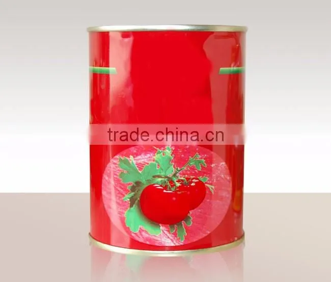 Made in china OEM ODM ketchup export Saudi Arabia Canned Beads In Tomato Sauce 425g 227g Beads In Tomato Paste