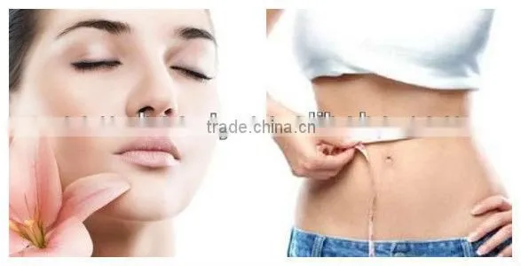 latest professional Ultrasonic liposuction cavitation slimming machine for wholesale