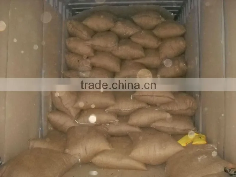 Pepper - agroviet@ (Skype: intimexna)