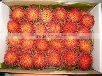 Fresh Rambutan best price and high quality from Vietnam